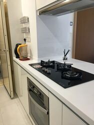 Vista Residences (D12), Condominium #320930561
